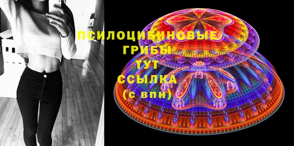 прущие грибы Богородицк