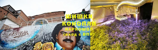 прущая мука Богородск