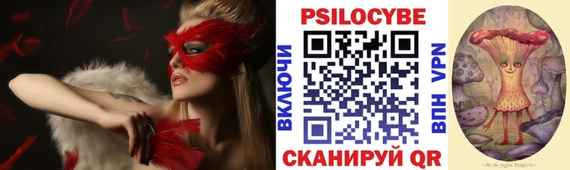 Псилоцибиновые грибы GOLDEN TEACHER  Надым 